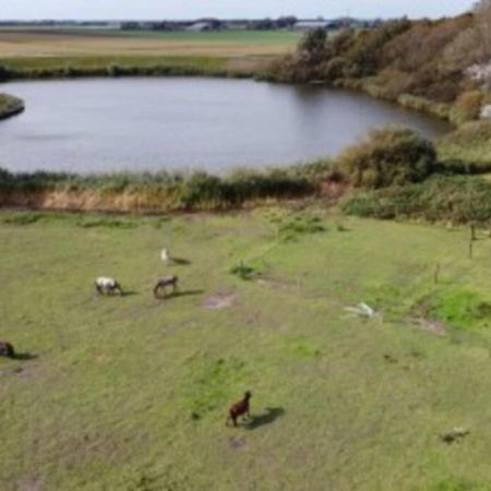 B&B Hoeve Dijkstal Logeren Op De Boerderij Sint Maarten Luaran gambar